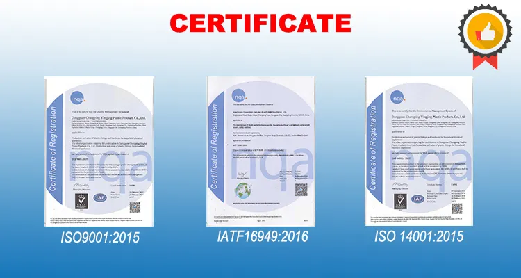Certificado 1