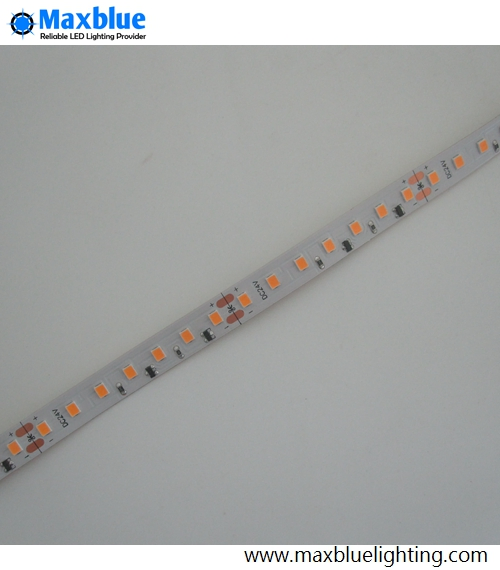 DC24V 24W/M 2835SMD 120LEDs/M Constant Current LED Strip Lighting