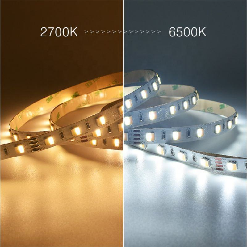 5m Reel Customizable Dimmable Tunable White SMD5050 12V Low-Voltage LED Strip Light
