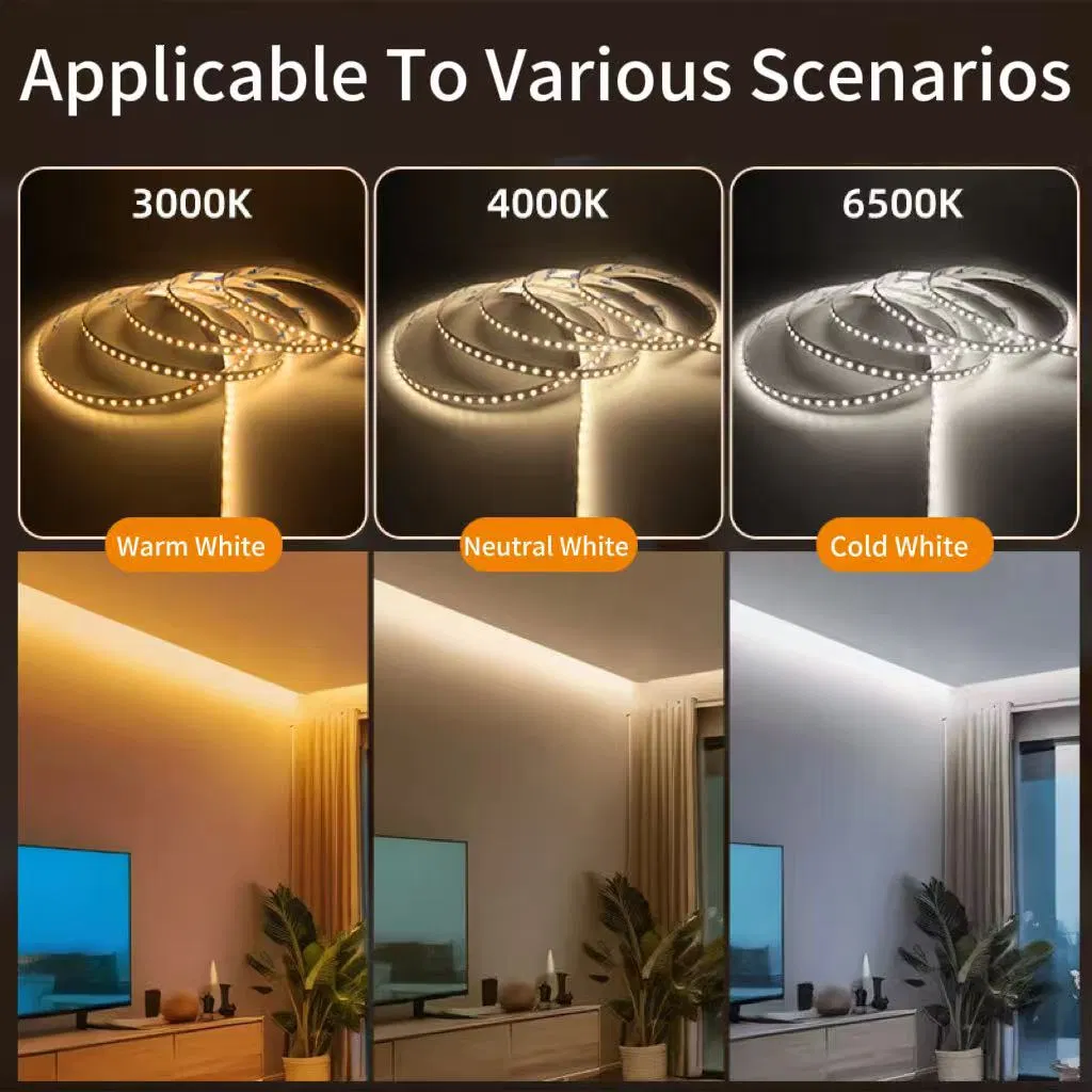 Dual Colour Tunable White LED Strip Light 24V SMD 2216