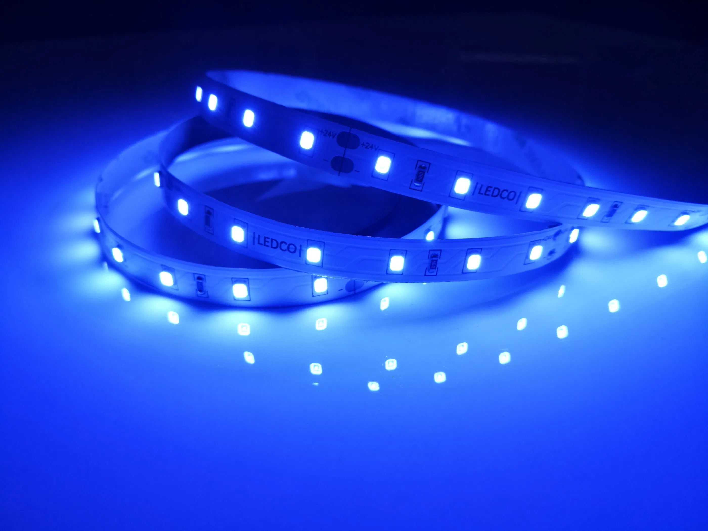 LED Lighting 2835 LED Strip 60d 24V Adhesive 8mm Tape on The Back