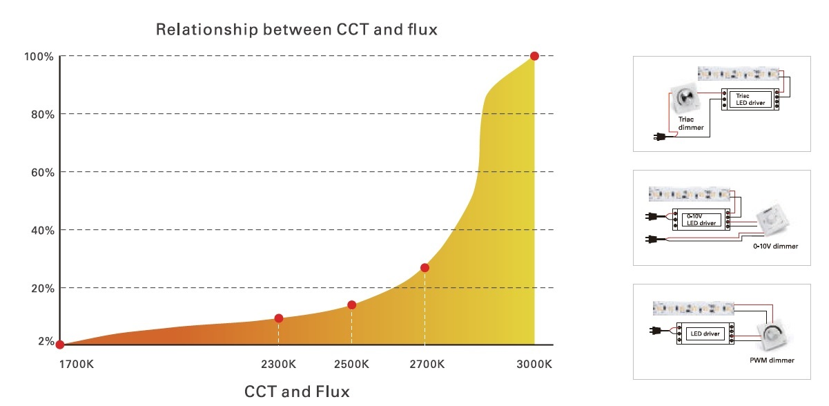 120PCS/M CCT Dim to Warm SMD3528 Flexible Rope Light 12V 24V LED Strip with TUV CE, IEC