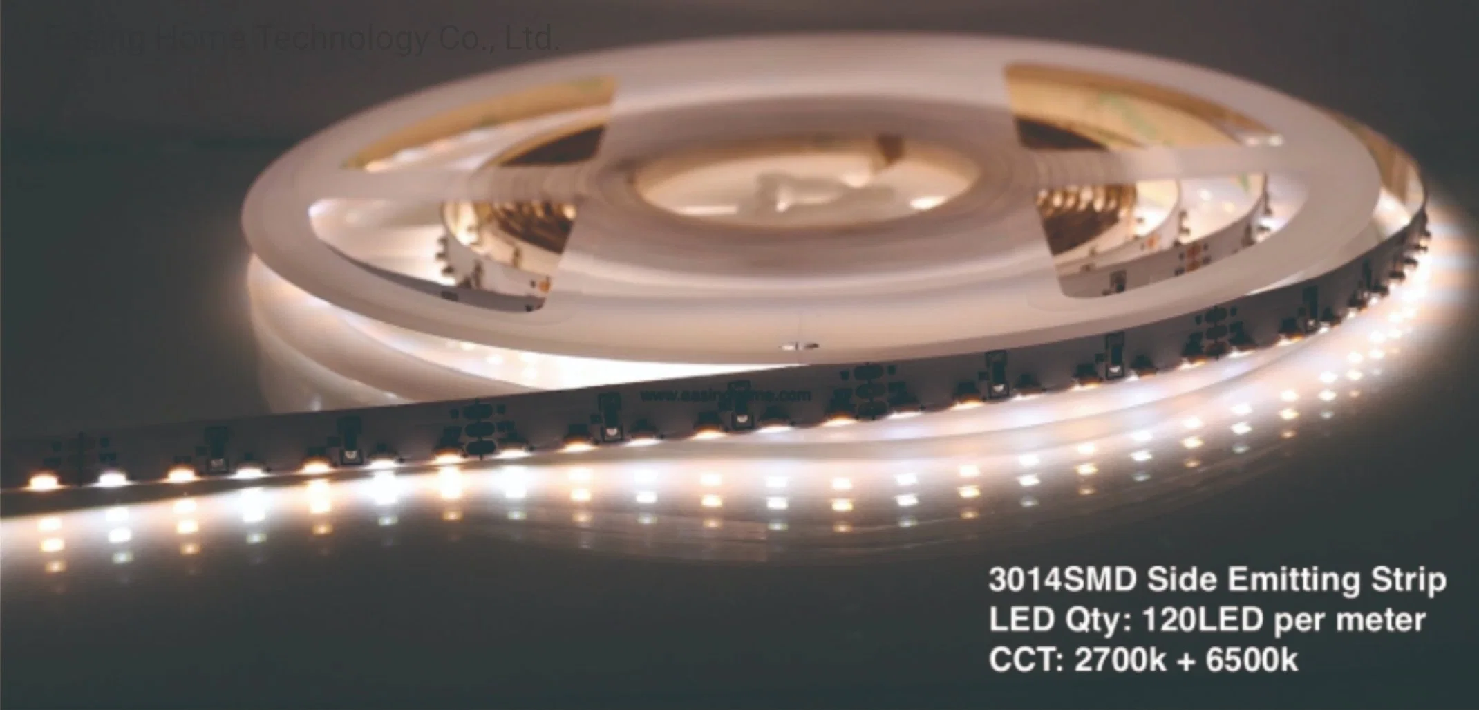 SMD3014 RGB Side Emitting CCT Control Indoor &amp; Outdoor LED Flexible Strip Lighting