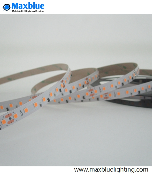 DC24V 24W/M 2835SMD 120LEDs/M Constant Current LED Strip Lighting