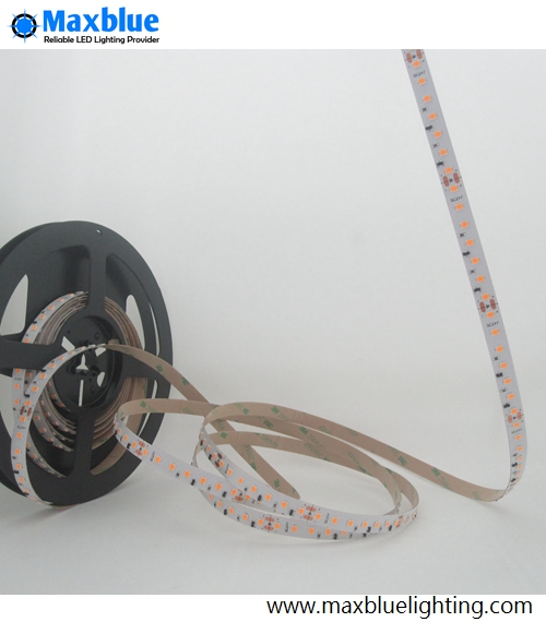 DC24V 24W/M 2835SMD 120LEDs/M Constant Current LED Strip Lighting