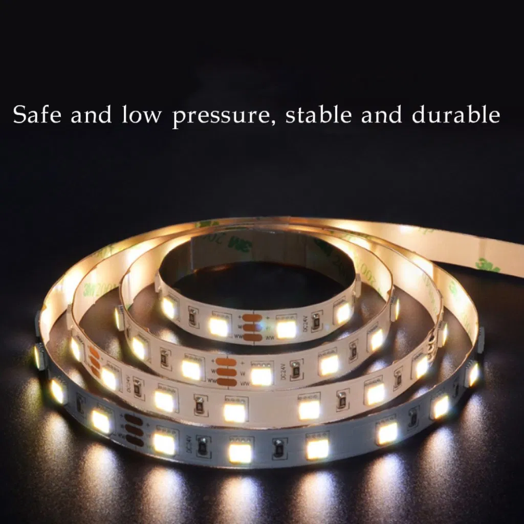 Dynamic Tunable White LED Strip Light for 12V/24V Systems
