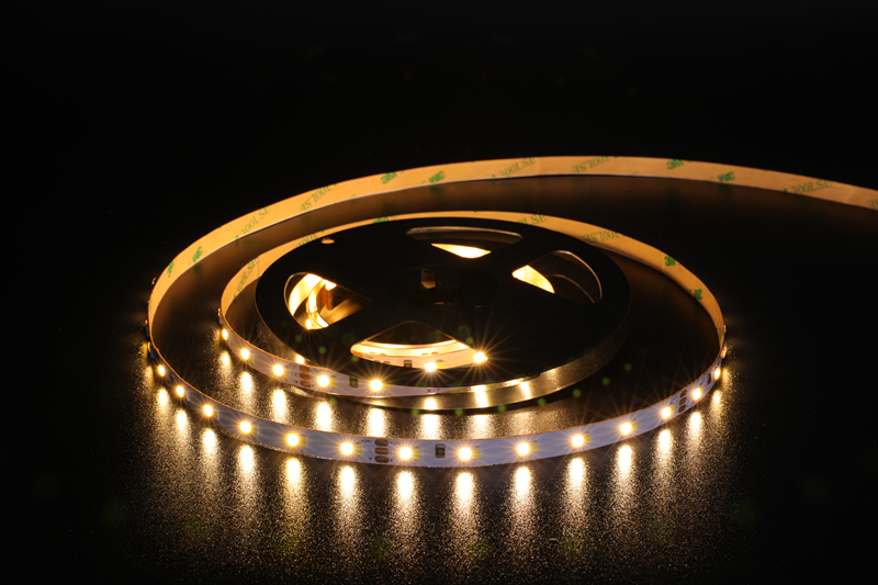 OEM ODM Tunable Dual White Cct Adjustable High Efficacy Led Smd 2835 Flexible Strip Light
