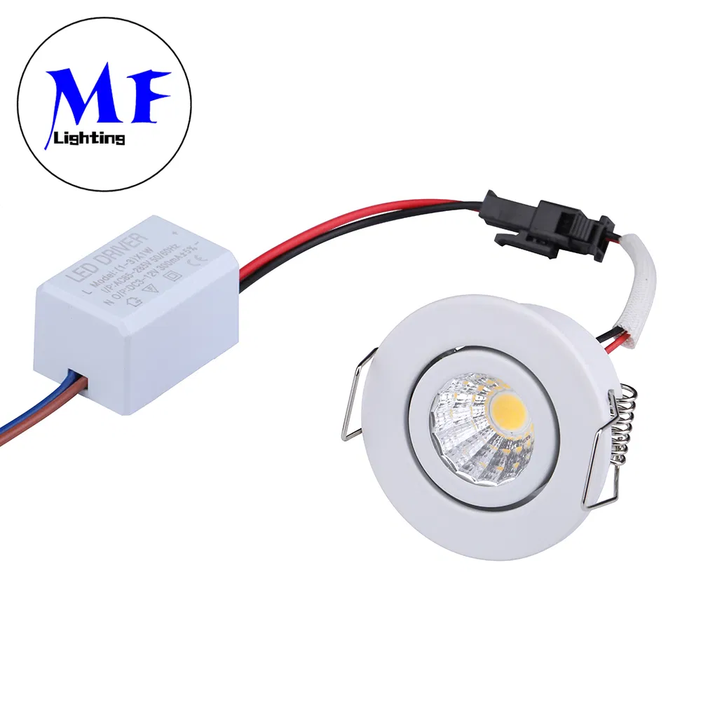 Factory Price 3W 24V Wholesale Tunable Downlight Indoor Ceiling Lighting Fixture Home Furnishing Dimmable Round White Lamp LED Down Light