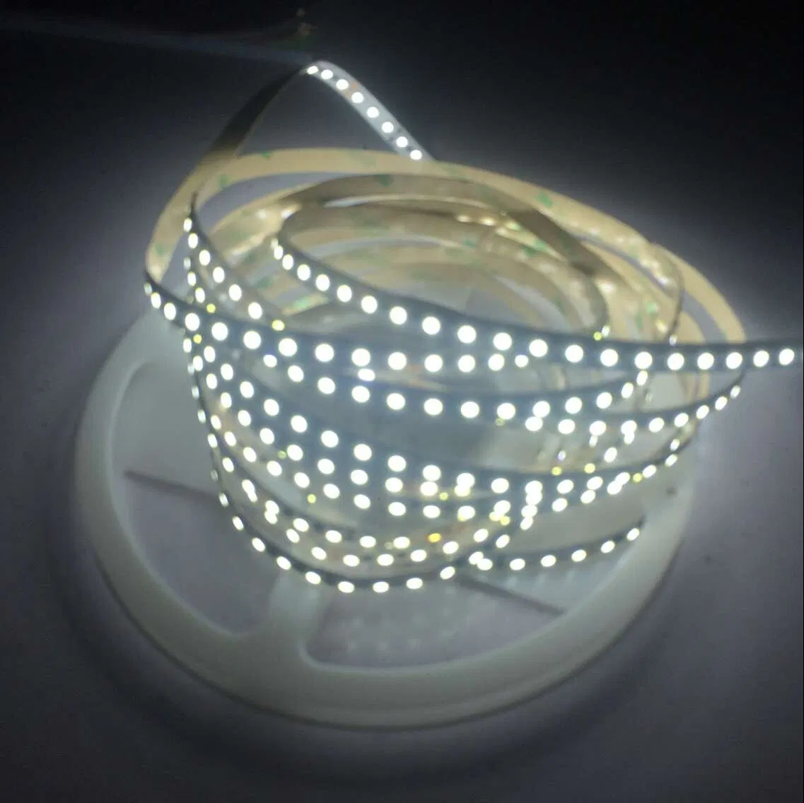 Waterproof DC12V/24V 3528SMD 5050SMD Flexible LED Tape Light