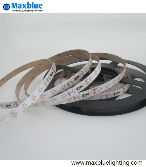 DC24V 2835SMD Ra90 Constant Current LED Flexible Strip 60LEDs/M