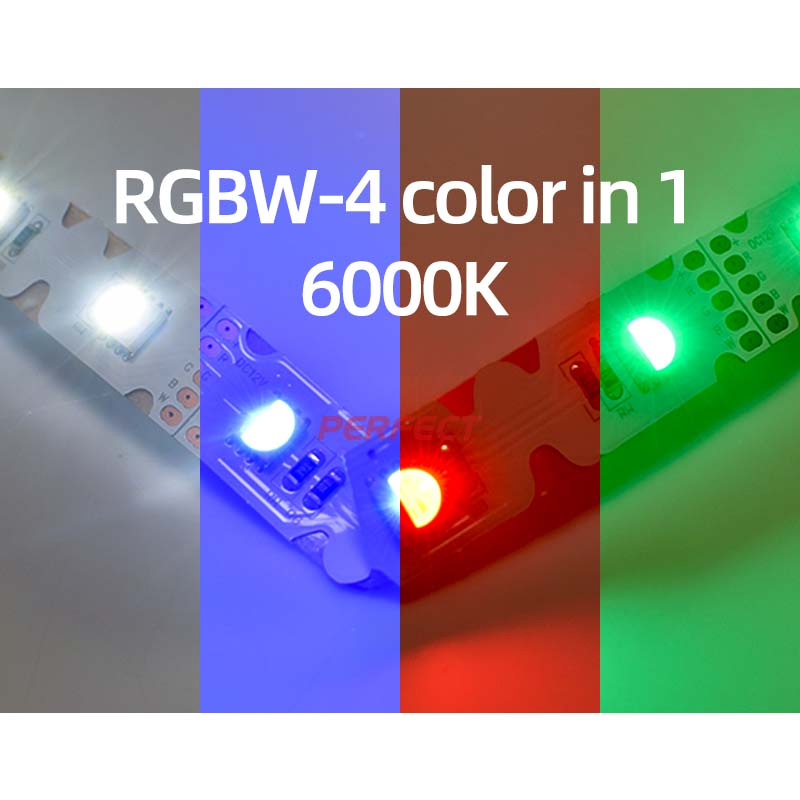 CE &amp; RoHS Flex Zig Zag Bendable RGBW 5050 S-Shape LED Strip
