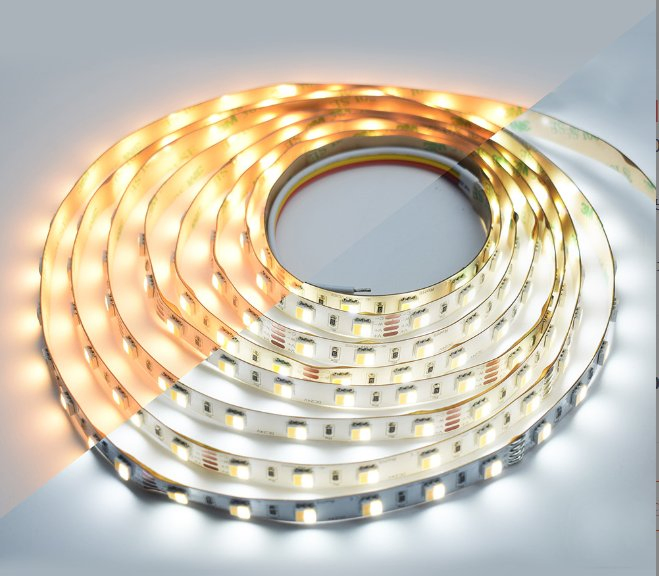 Dynamic Tunable White LED Strip Light for 12V/24V Systems