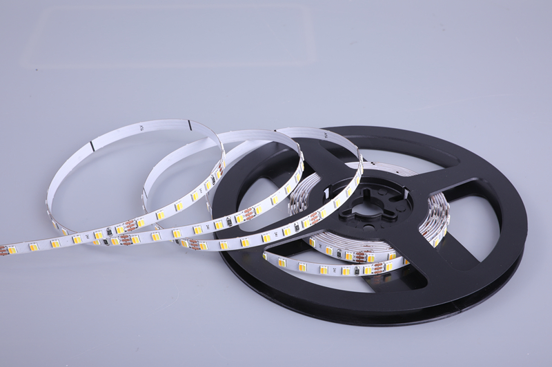 High Bright 2835 LED Strip 24V 12V Custom Tunable White CCT 2700~6500K LED Strip Light