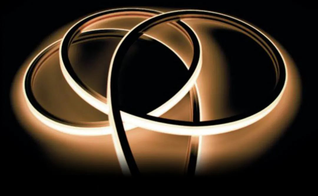 3D Side Emitting LED Flexible Silicone Waterproof Digital Neon Light Strip