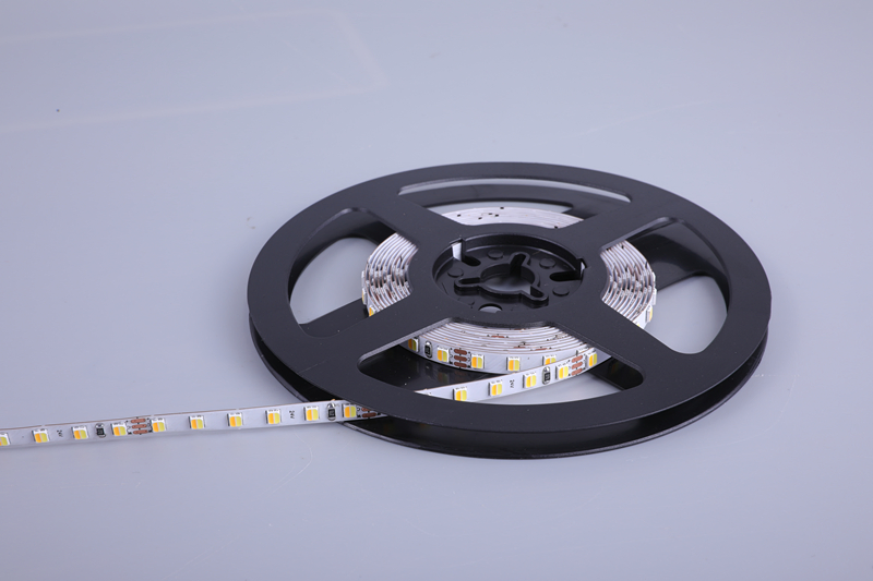 High Bright 2835 LED Strip 24V 12V Custom Tunable White CCT 2700~6500K LED Strip Light