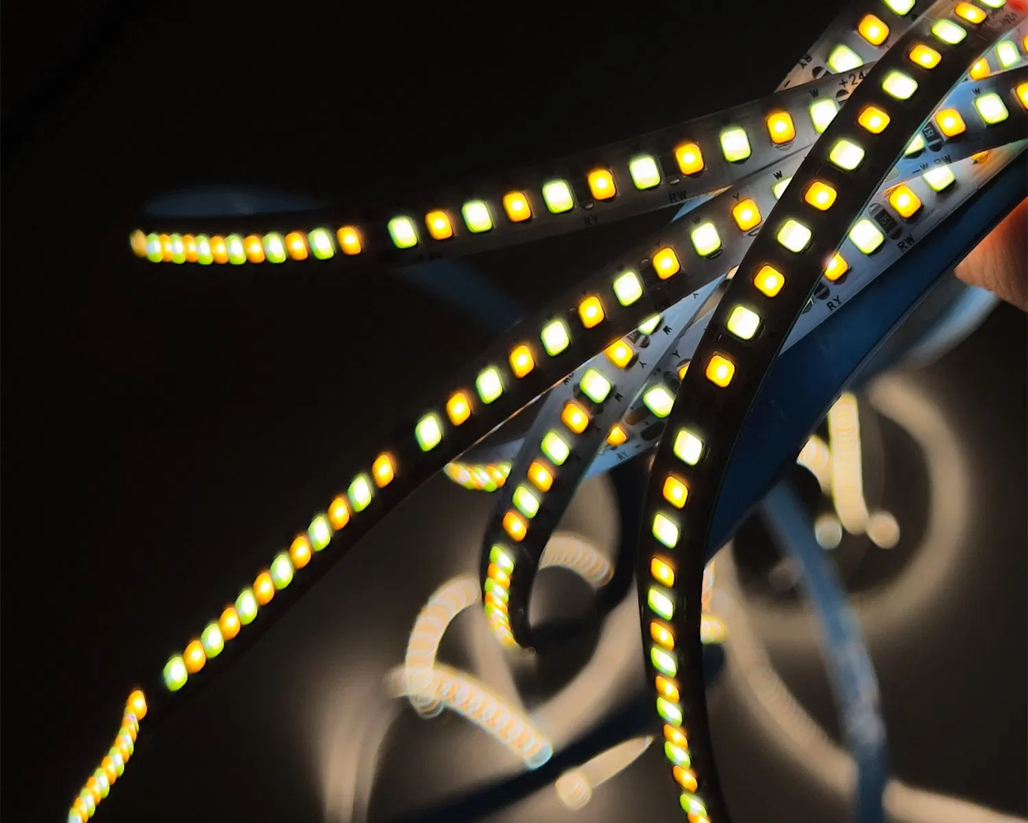 Constant Current LED Strip Light SMD 2835 120 LEDs/M LED Strip Smart Lighting Ceiling Ambient LED Strip