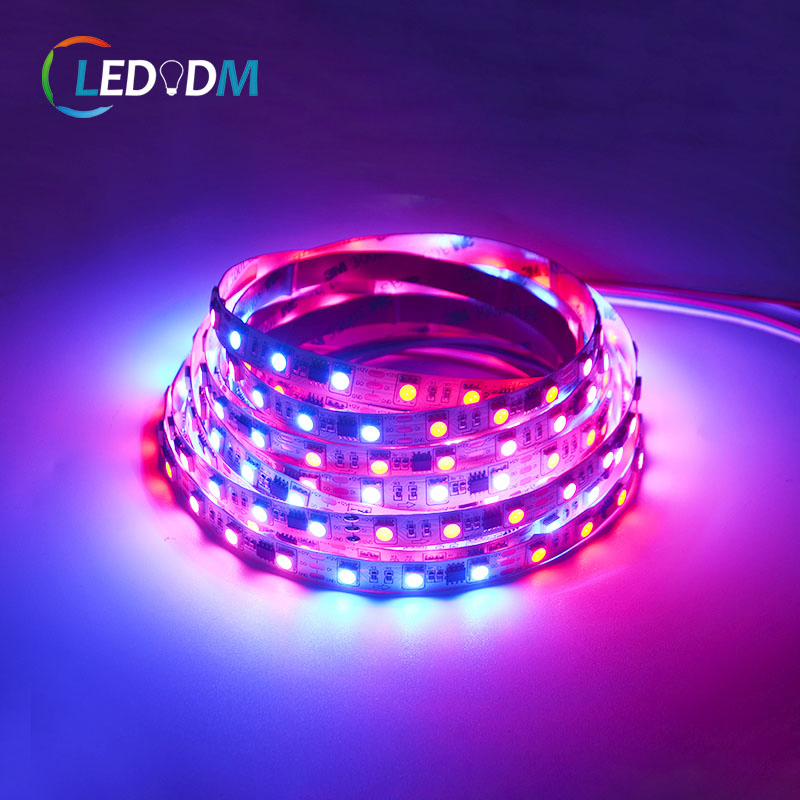 Spi Ws2811 IC Addressable Dream Color RGB 60LEDs/M 12V 24V Smart Digital LED Strip
