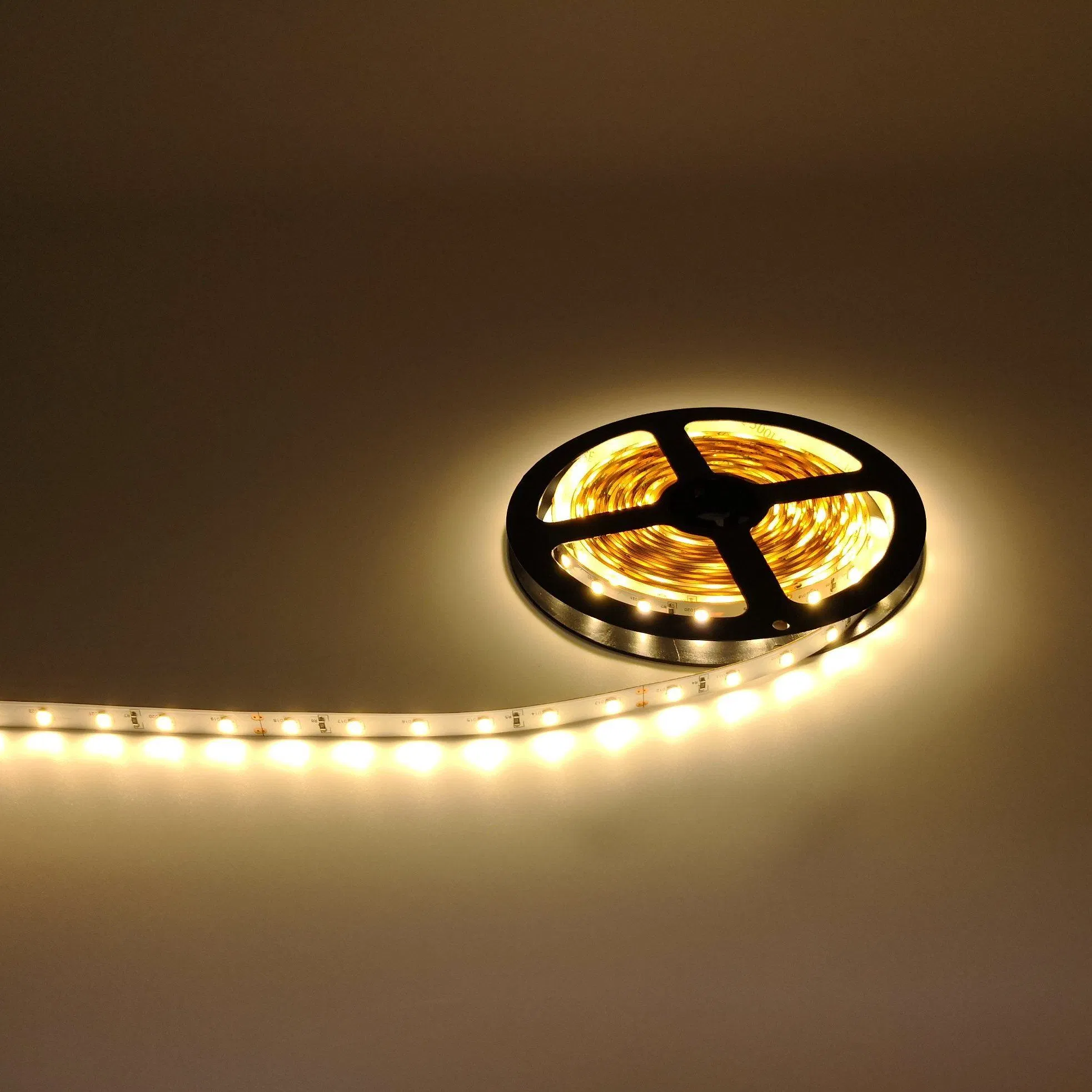 Manufacturer Outdoor RGB LED Strip Light 24V Flex 2835 LED Tape Various Colors Available