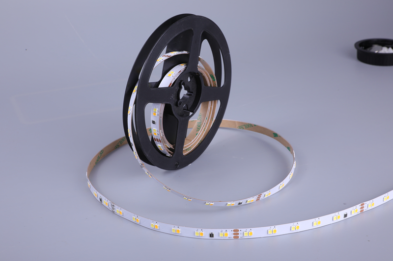 OEM ODM Tunable Dual White Cct Adjustable High Efficacy Led Smd 2835 Flexible Strip Light