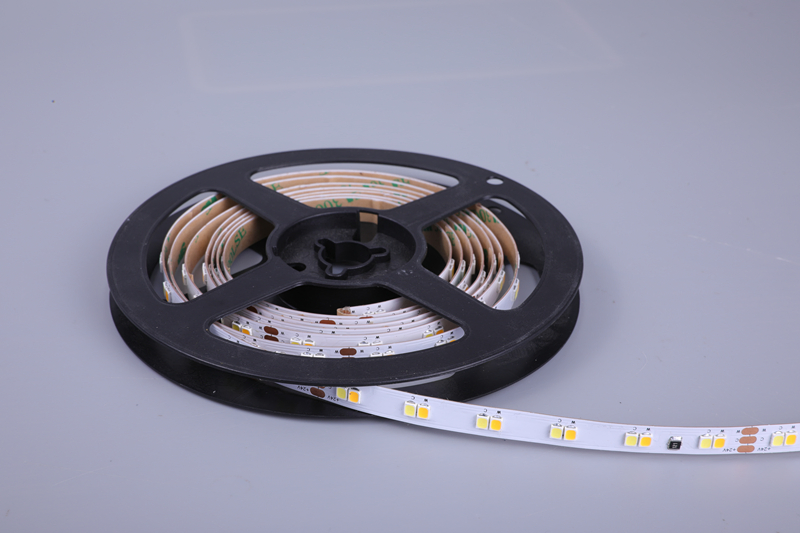 OEM ODM Tunable Dual White Cct Adjustable High Efficacy Led Smd 2835 Flexible Strip Light
