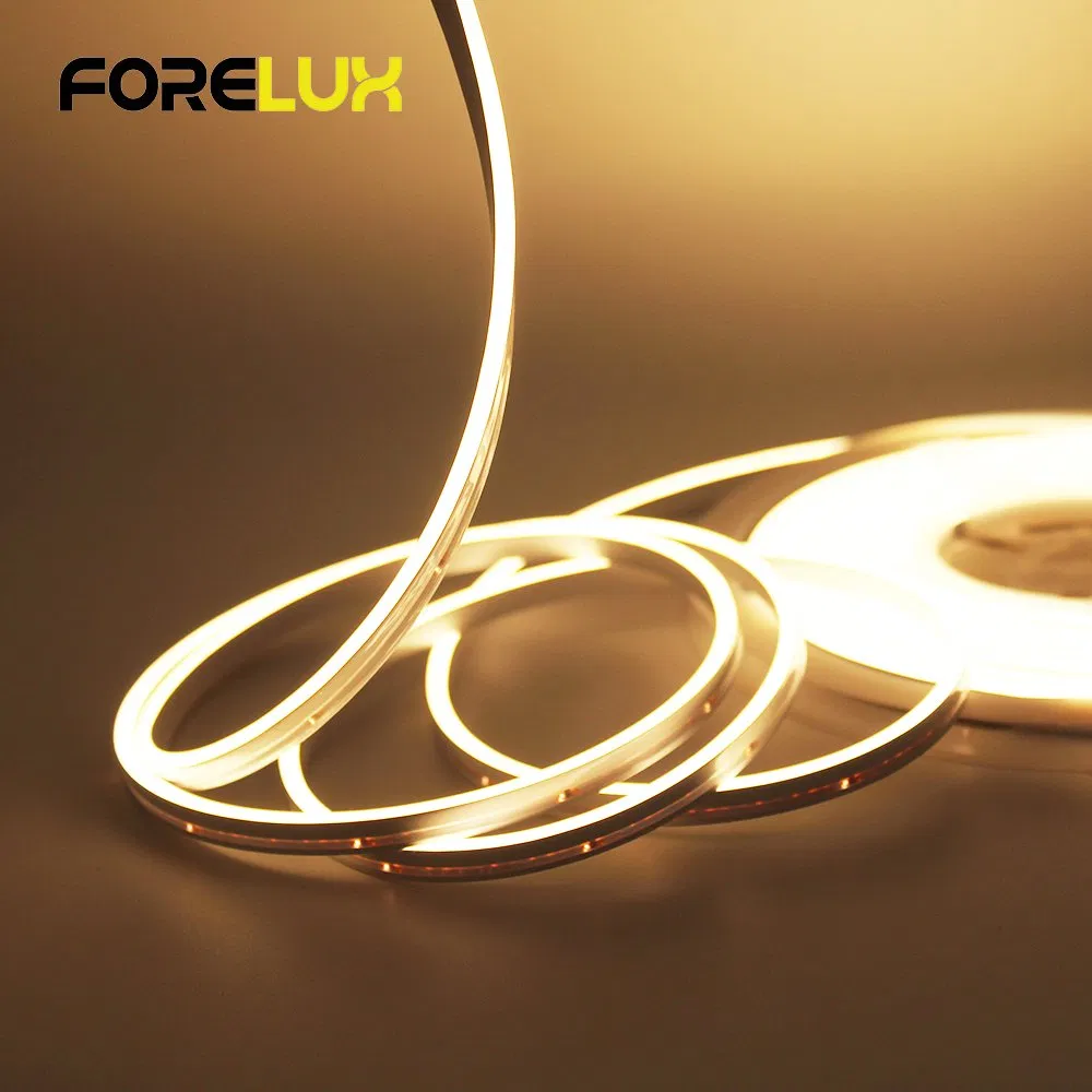 Ultra Slim 3X6mm Side Emitting Flex LED Neon Strip for Caravan and Cruise Application