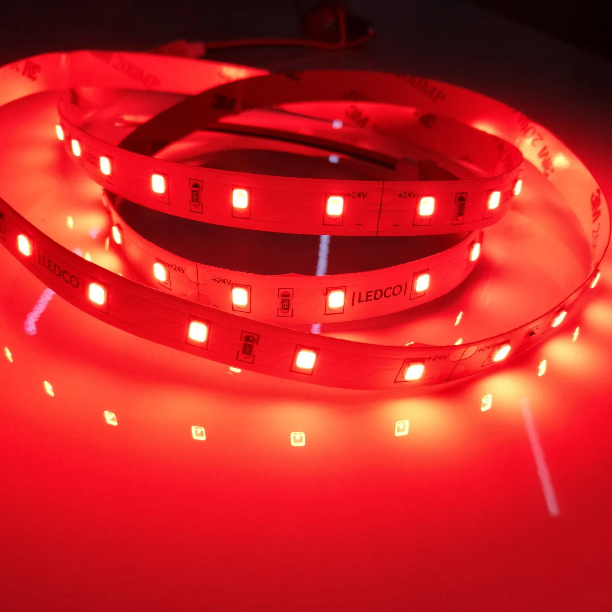 Manufacturer Outdoor RGB LED Strip Light 24V Flex 2835 LED Tape Various Colors Available