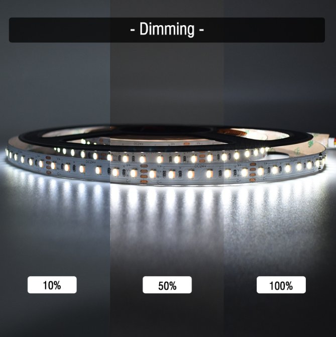 Tunable Dual White CCT Adjustable High Efficacy SMD 2835 LED Strip Light
