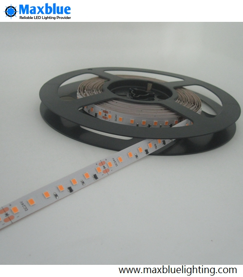 DC24V 24W/M 2835SMD 120LEDs/M Constant Current LED Strip Lighting