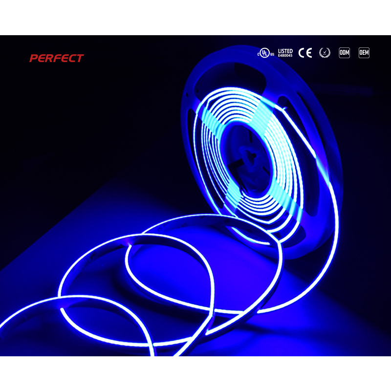 New Design COB Side Emitting RGB LED Strip Light Without LED DOT 24V Flexible No Light Spots for Decorating