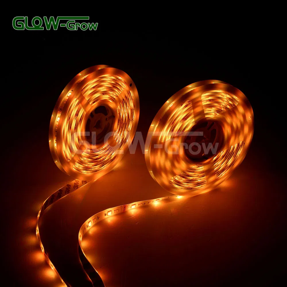 Tunable 10m RGB CCT Strip Light with Color Changing (3000K-6500K)