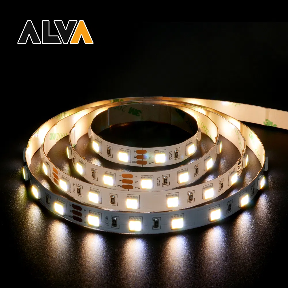60PCS/M CCT Dim to Warm SMD5050 Flexible Rope Light 12V 24V LED Strip with TUV CE, IEC