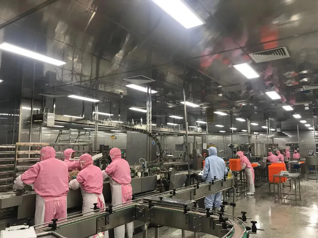 Proceso de producción - Línea de enlatado