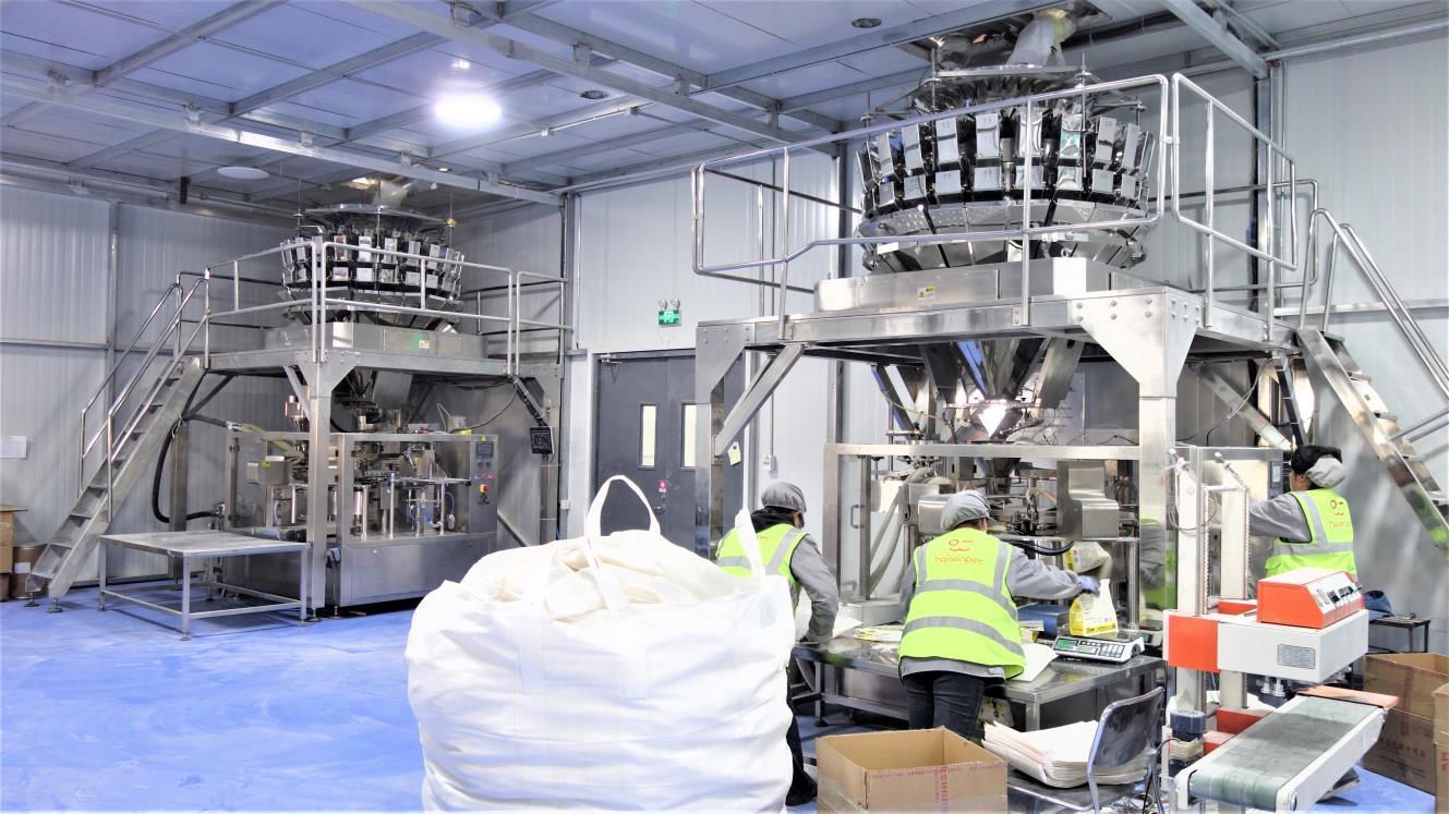 Línea de envasado de Ningbo Zippy Pets — instalaciones modernas de producción