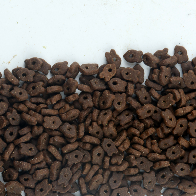 Proveedor de comida para gatos de alta proteína y protección ambiental, fabricante de alimentos para mascotas