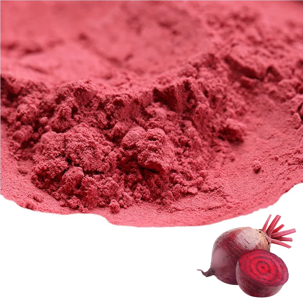 Polvo de raíz de remolacha deshidratada natural en polvo para repostería y alimentos