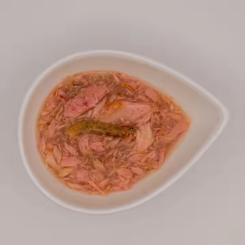 Deliciosas golosinas de pollo liofilizado premium para gatos y perros, alimento húmedo, suplemento para mascotas en empaquetado de bolsa