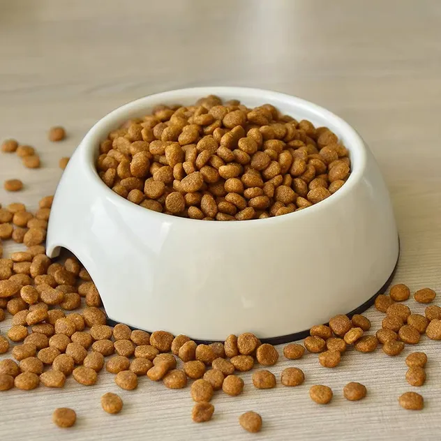 Nutrición felina