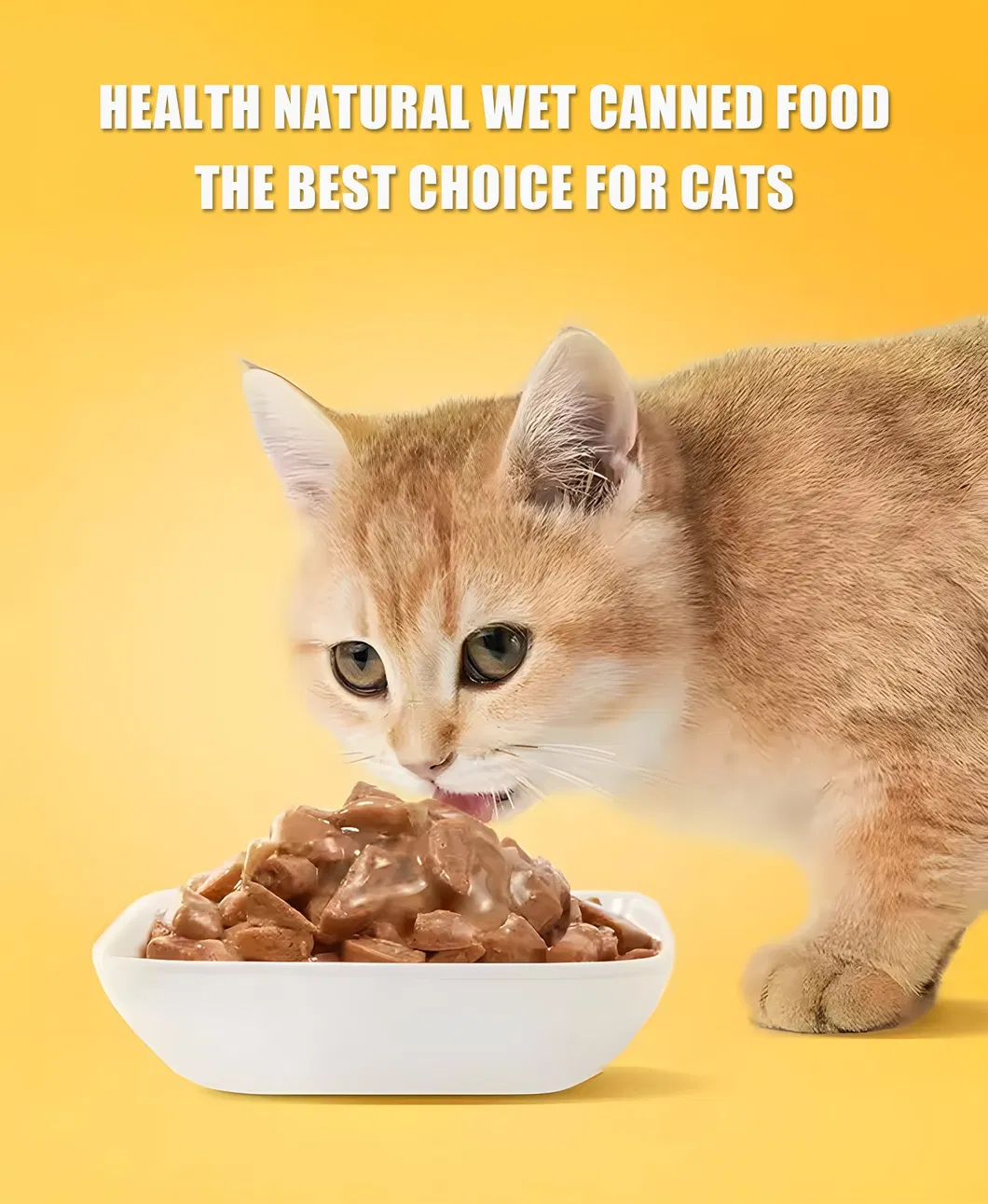 Comida enlatada para gatos de sabor a pescado disponible de alta calidad, comida enlatada para perros, fábrica de comida húmeda para mascotas