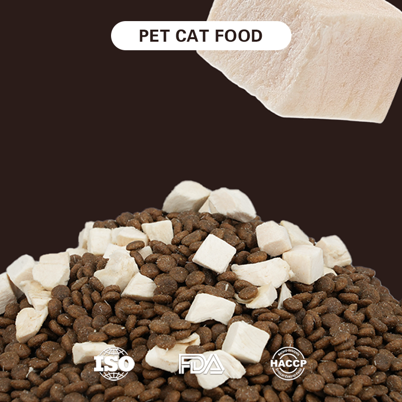 Comida para gatos gourmet sin granos para comedores exigentes y estómagos sensibles
