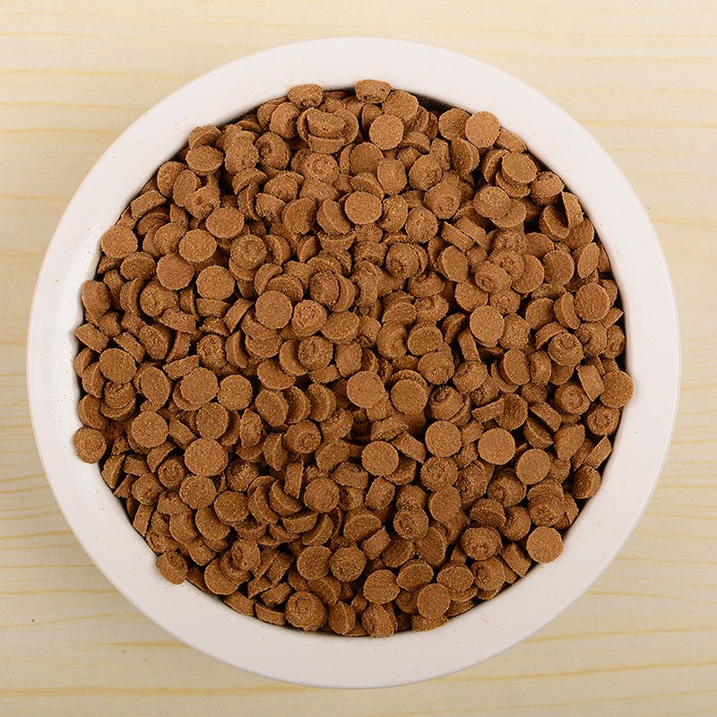 Alimento seco para perros al por mayor, comida holística, ingredientes orgánicos puros, bajo pedido mínimo, comida sabrosa y nutritiva