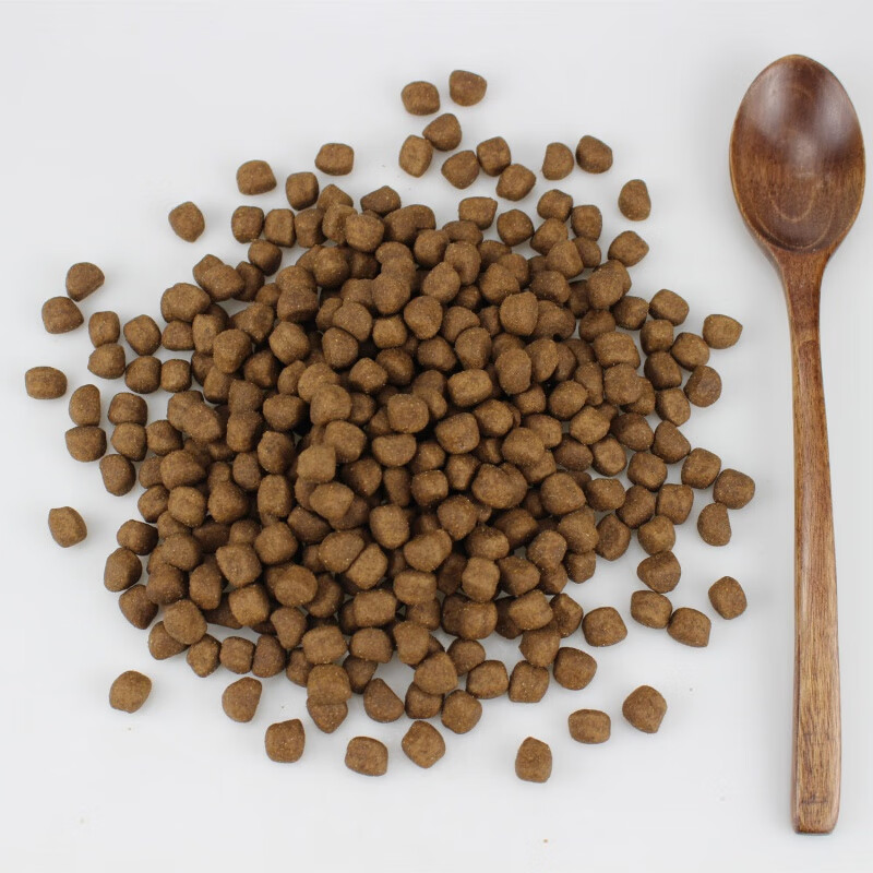 Comida seca nutritiva para gatitos para un crecimiento óptimo y salud dental