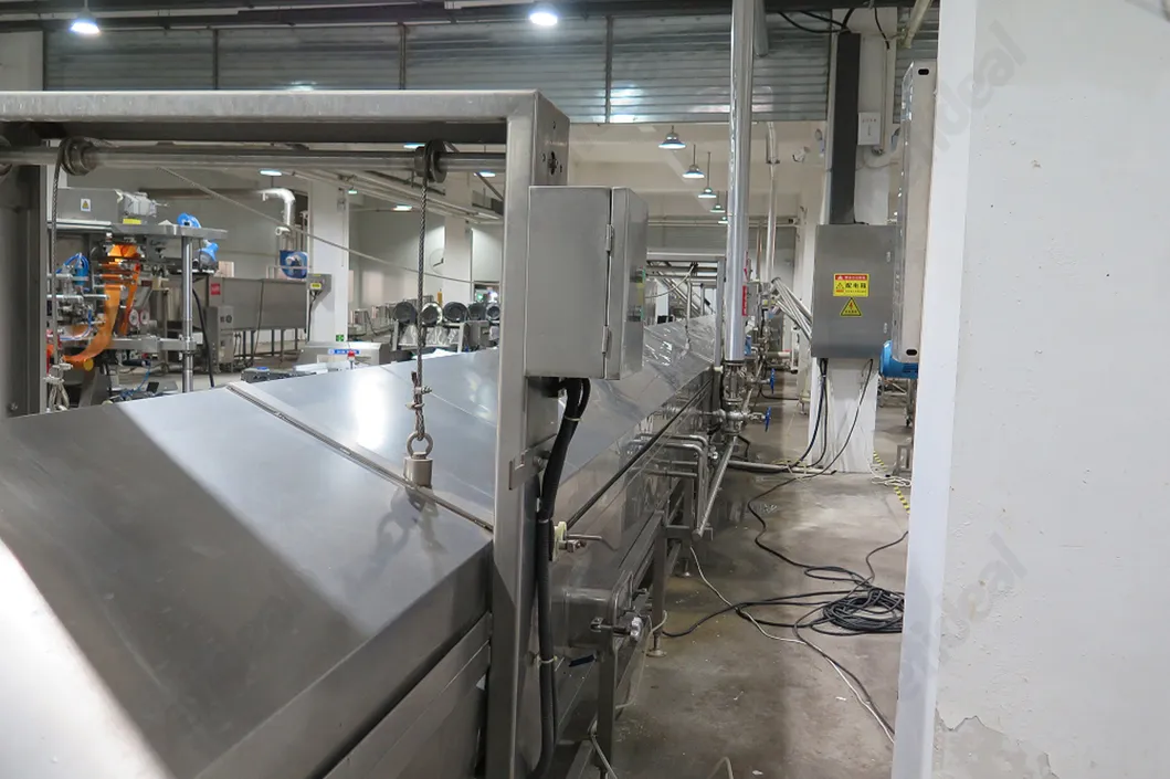 Proceso de producción 11