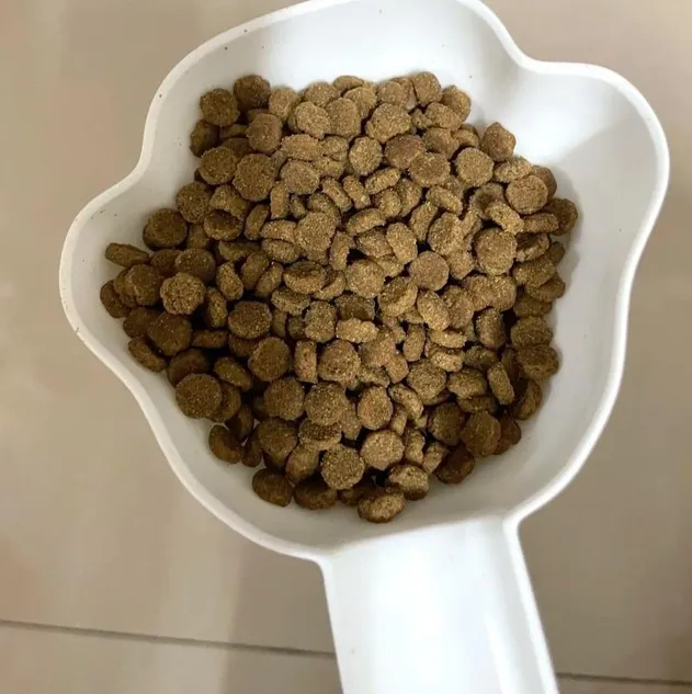 Salud para gatos