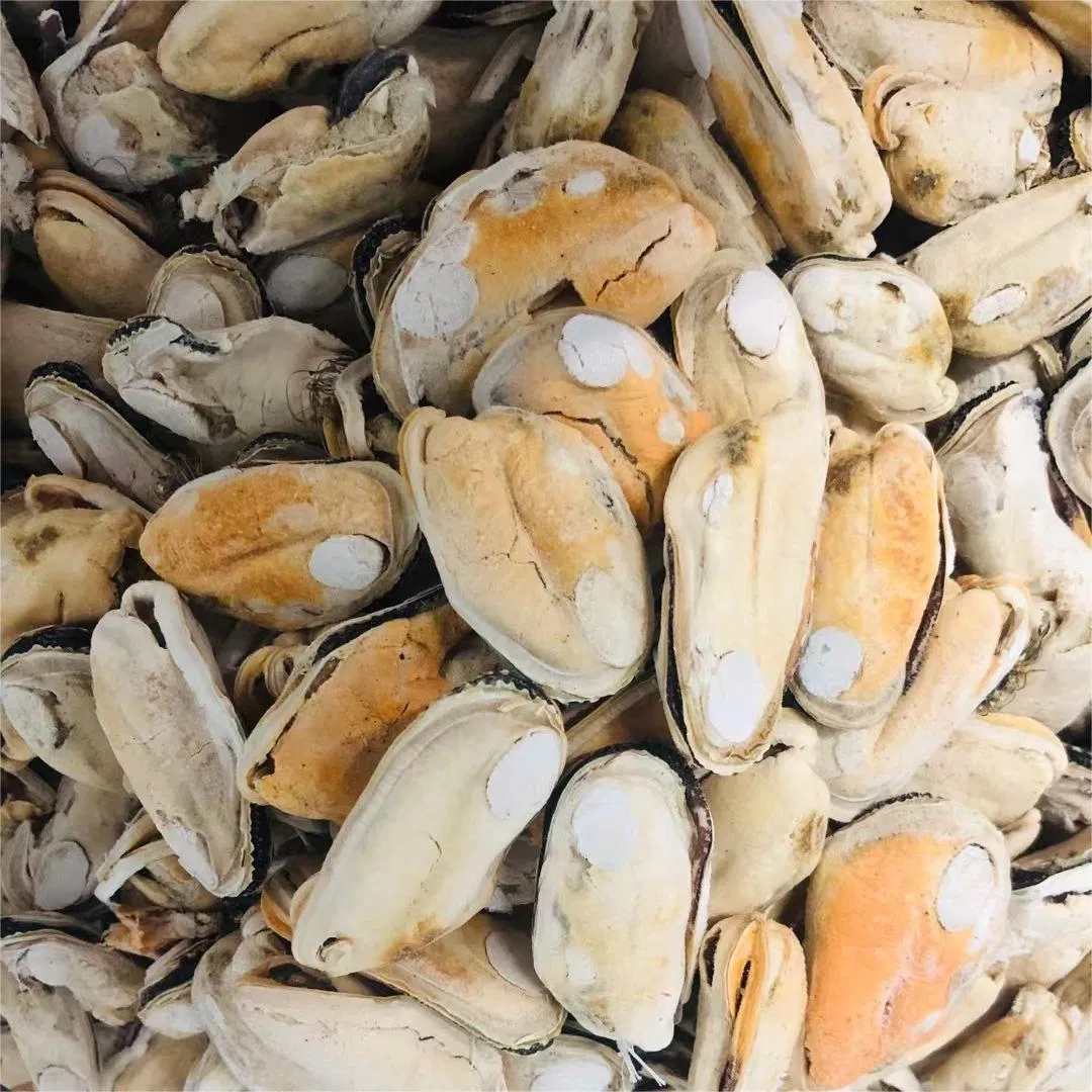 Alimento seco para mascotas de mariscos liofilizados con superproteína y calcio, golosina para gatos