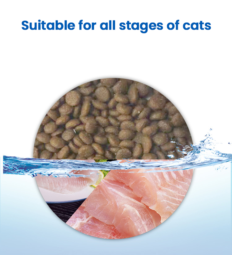 Comida para gatos premium natural que potencia el crecimiento saludable