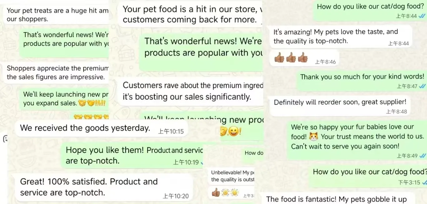 Certificado 2