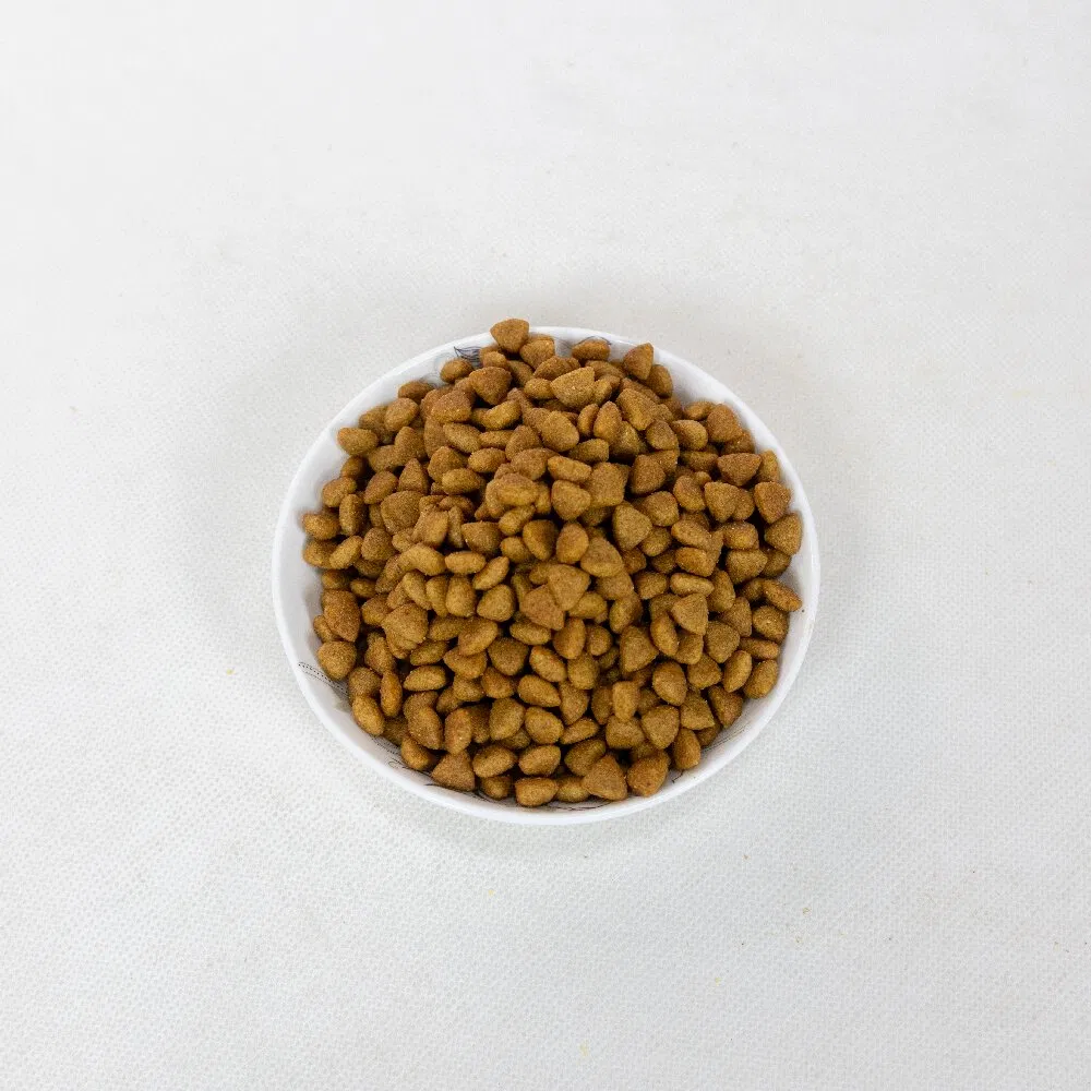 Comida seca para gatos y perros de marca original, opciones sin grano y regulares, comida para mascotas al por mayor para estómagos sensibles