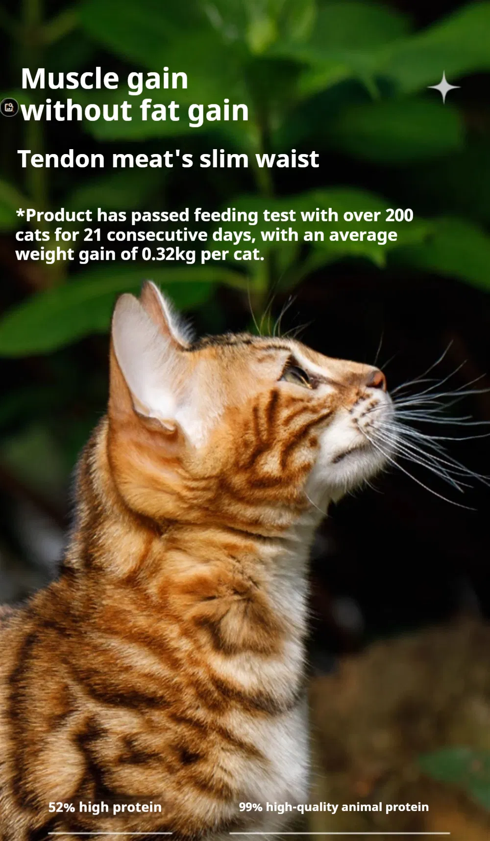Comida enlatada orgánica hipoalergénica para gatos con fórmula de carne de res e hígado para estómagos sensibles. Sin aditivos artificiales