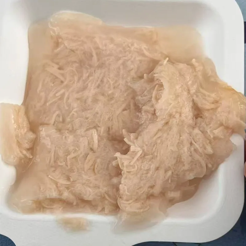 Comida húmeda para gatos, carne fresca, comida enlatada, bocadillos para mascotas, golosinas para mascotas, comida para perros