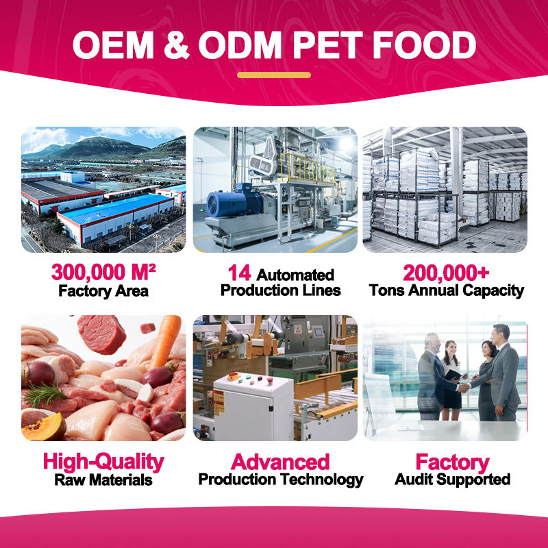 Suministro de fábrica de golosinas húmedas para gatos de pato y salmón con alto contenido de proteínas, textura sedosa e hidratante para gatos adultos y seniors
